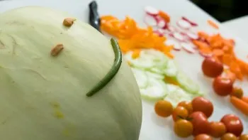 Care este legătura între CANCER şi ALIMENTAŢIA ALCALINĂ