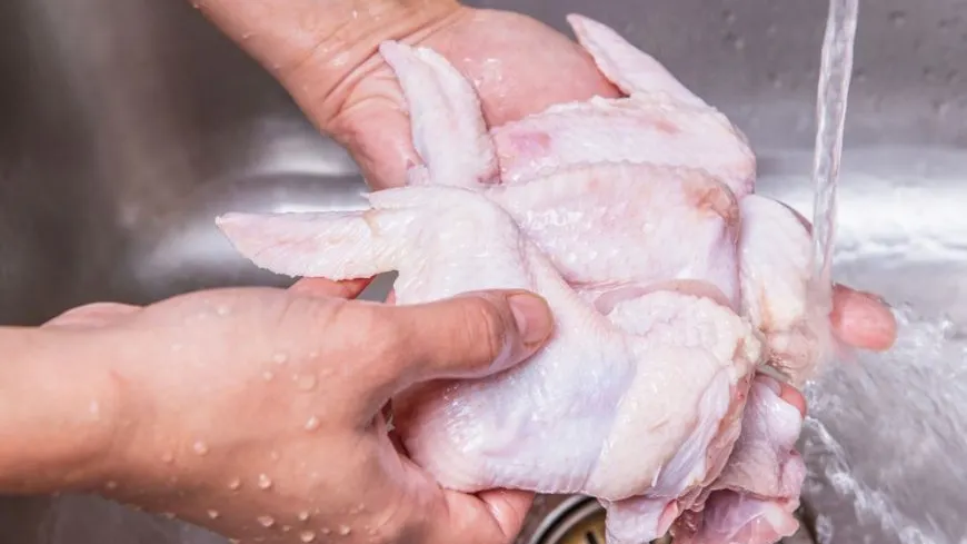 De ce să NU speli niciodată carnea de pui crudă