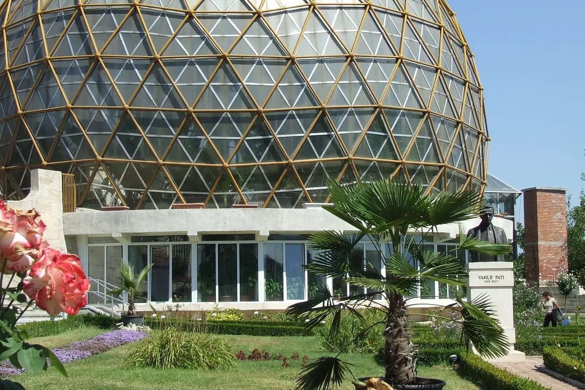 PLANTA care ar putea ÎNVINGE CANCERUL, descoperită de cercetătorii români 