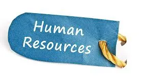 HR Insider: „Directorul de HR al României ar trebui concediat“