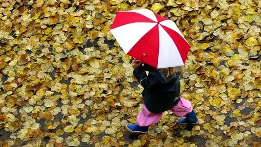Se instalează toamna? PROGNOZA METEO PE TREI ZILE 