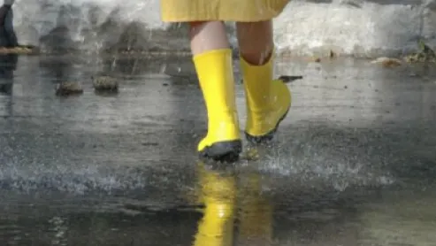 ALERTĂ MAXIMĂ pe insula japoneză Hokkaido, din cauza unor ploi torenţiale