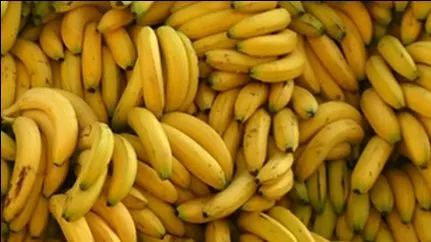 A mâncat 20 de banane în fiecare în timpul sarcinii! Vezi cum arată după naştere 
