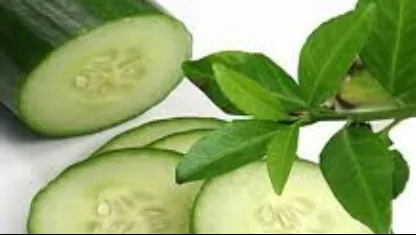 Uite la ce ajută o felie de castravete în casă! Rezultatul este uimitor