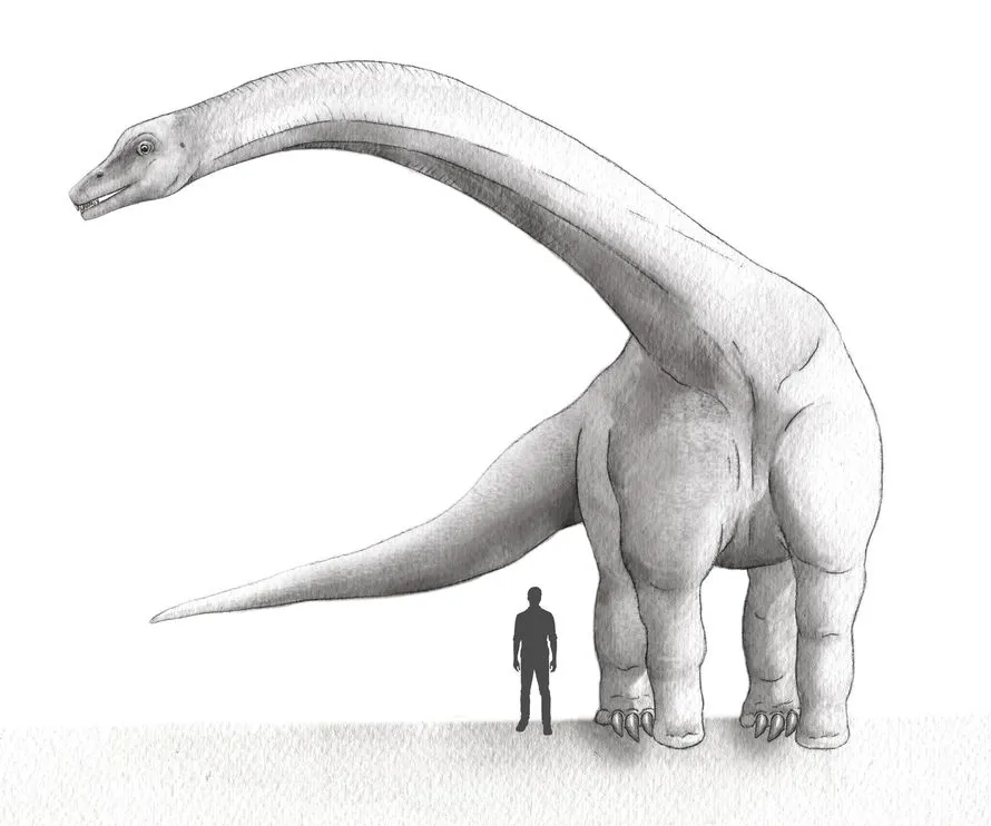A fost găsit cel mai mare dinozaur din istorie. Era cât 12 elefanţi la un loc