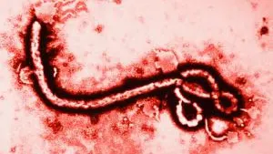 ALERTĂ. Caz suspect de infectare cu Ebola, în Europa