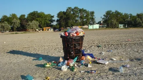Însărcinatul cu afaceri și militarii SUA au strâns 5 TONE DE GUNOAIE de pe plaja din Năvodari