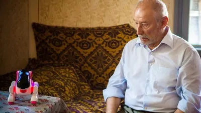Ce spun criticii americani despre "CÂINELE JAPONEZ", propunerea României la OSCAR