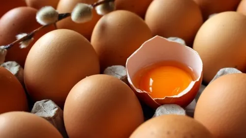 Cum poţi verifica PROSPEŢIMEA OUĂLOR