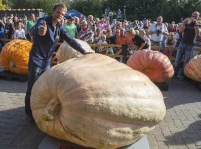 Cât cântărește cel mai mare dovleac din lume
