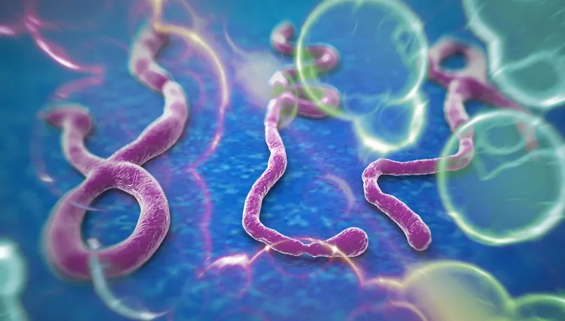 UE va aloca peste 24 de milioane de euro pentru crearea unui vaccin împotriva virusului Ebola