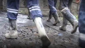 Percheziții într-un dosar de evaziune fiscală și executare de activități miniere fără licență