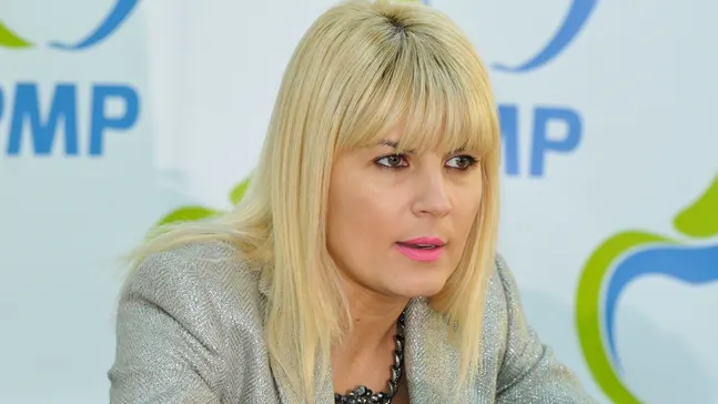 Udrea: Nu există nicio posibilitate ca eu să am vreo legătură cu afacerea Microsoft  