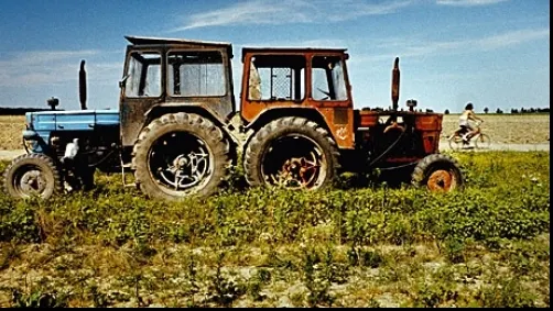 Seceta face ravagii în agricultură. Se anunță un an mult mai prost decât 2014