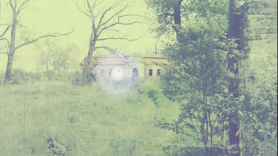 CONACUL BÂNTUIT din Timișoara. Ce se întâmplă în misterioasa casă