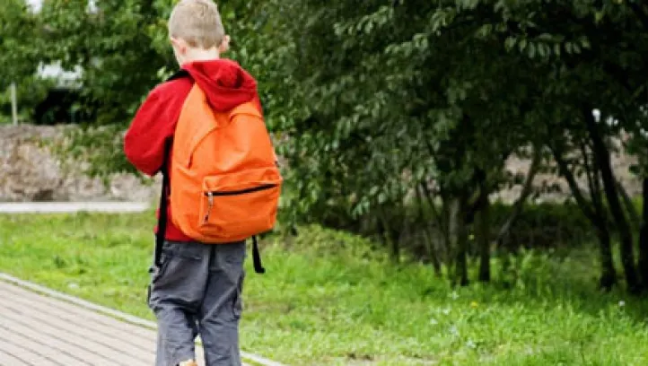 DOSAR PENAL. Învăţătoare, acuzată că a bătut un elev în timpul orelor: "Făcea pe şmecherul!"