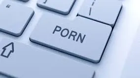 Profesor arestat pentru materiale pornografice 