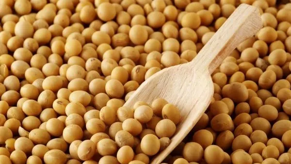 FRESH REFRESH: SOIA, produsul favorit pentru Postul Crăciunului