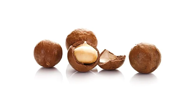 FRESH REFRESH. Tot ce nu ştiai despre nucile de Macadamia