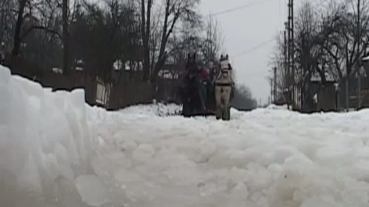Copii transportați la școală cu căruța, în loc de microbuze școlare 