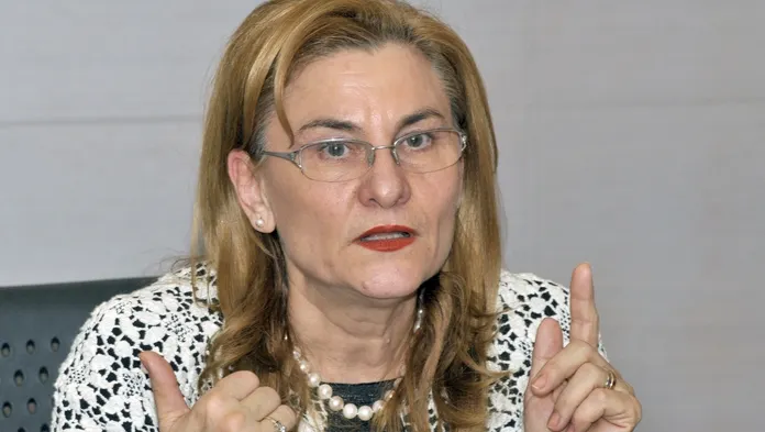 Dumbravă propune ca decizia CSM în cazul declarațiilor lui Grapini să fie transmisă PE 