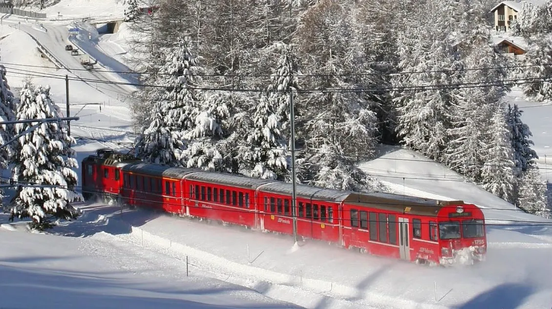 Un tren de pasageri Regio a DERAIAT, din cauza unei cirezi de VACI