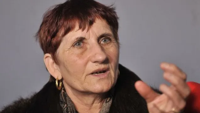 Cererea Emiliei Ghinescu privind stabilirea unui program de vizitare a nepotului său, respinsă