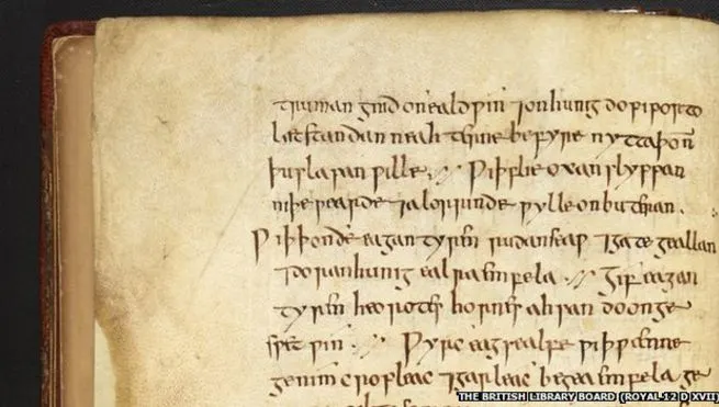 Uimire în medicină: un leac medieval cu usturoi, vin şi bilă de vită a vindecat o boală teribilă