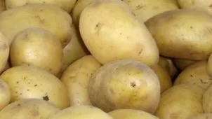 Efectele uimitoare ale sucului de cartofi cruzi. Vindecă boli grave! Reţeta călugărilor budişti 