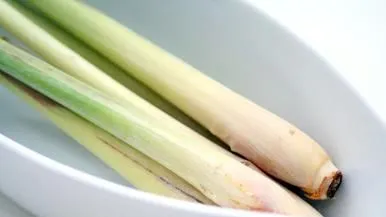 Planta care previne cancerul şi poate fi cultivată în casă