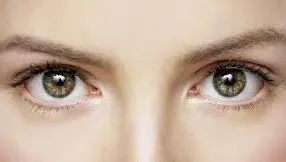 Test: Tu câte culori vezi în această fotografie?