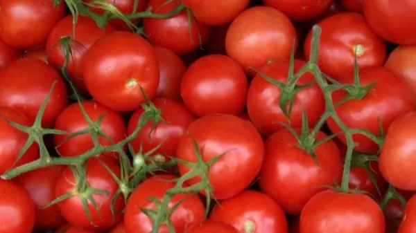 Pentru primăvară, dieta cu roşii. Slăbeşti 3 kilograme în 5 zile