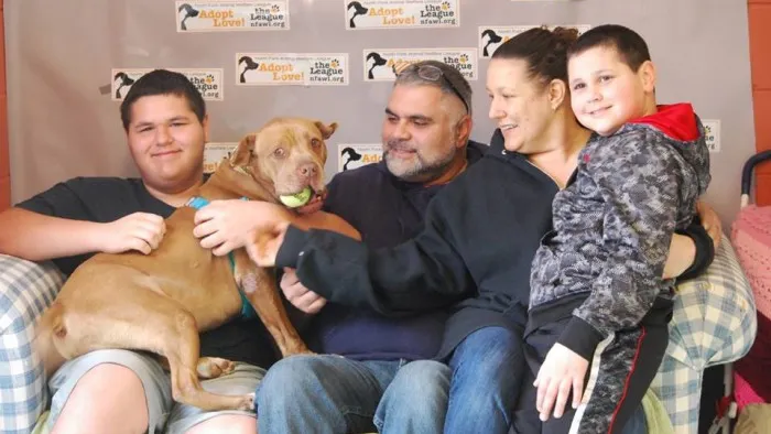Fotografia care a salvat un cățel, după 5 ani în care nu l-a vrut nimeni