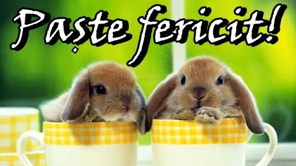 Mesaje de Paște haioase. Cele mai amuzante urări de Paște 2015