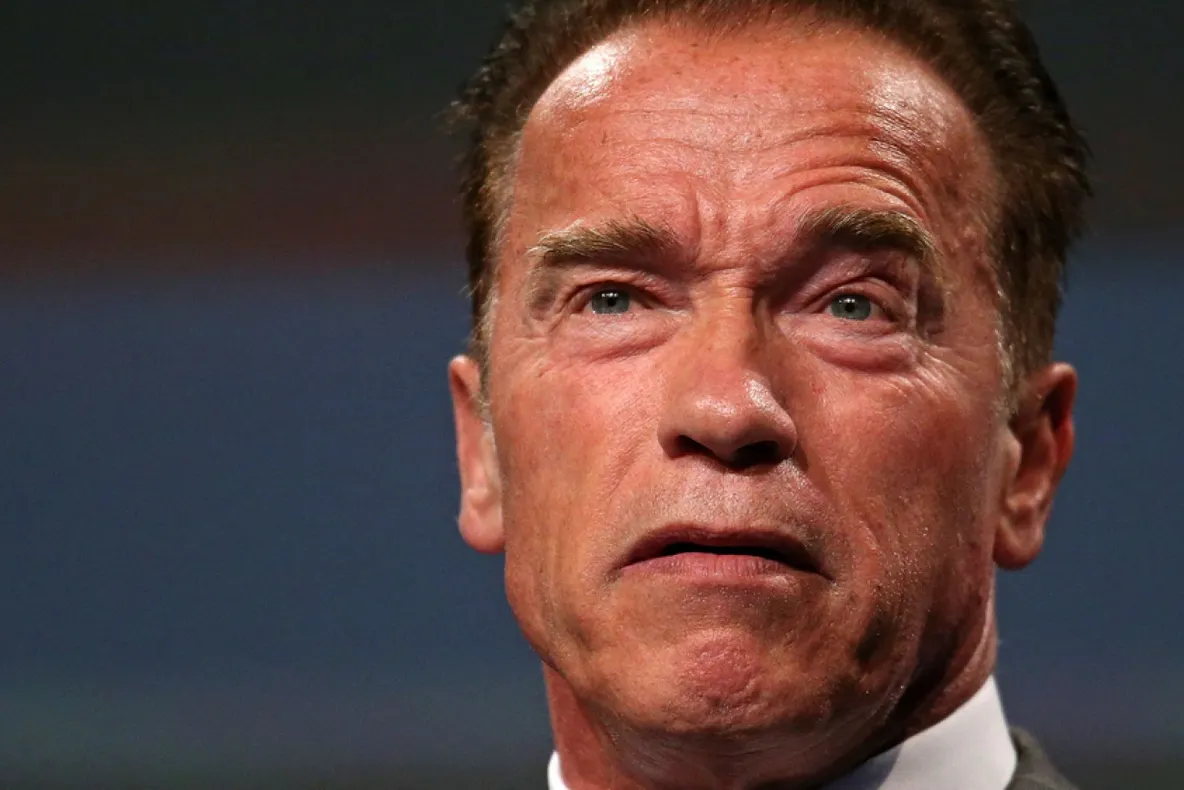 Cum se luptă un român cu Schwarzenegger şi Stallone: Istoricul procesului de plagiat de 10 milioane