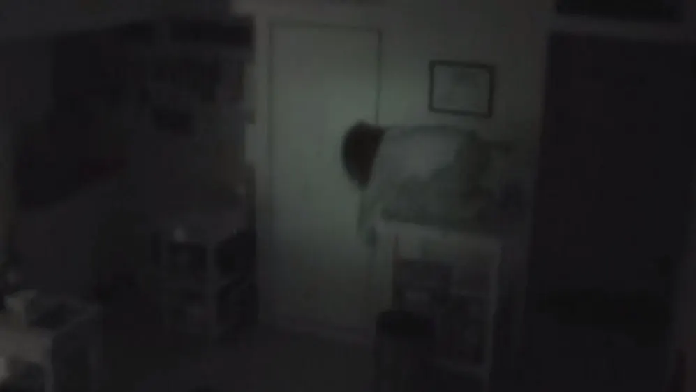 Îi dispăreau lucruri, așa că a instalat o cameră. A văzut asta: o siluetă s-a târât din tavan și..