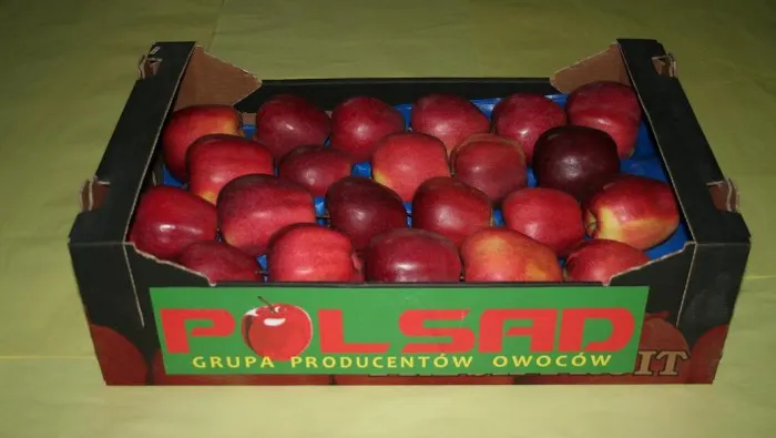 Cifre fenomenale. Exporturile Poloniei au crescut în 25 de ani cu 2069%