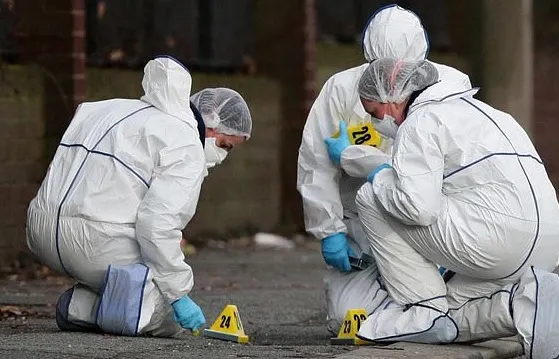 Crima care a îngrozit Banatul! Ce s-a întâmplat cu cadavrul fără cap, mâini şi picioare