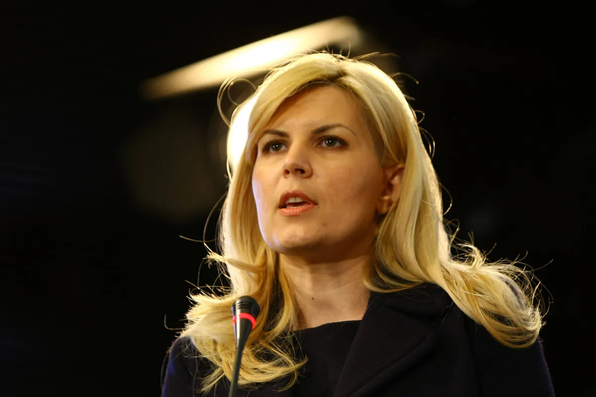 Udrea, despre dosarul privind creditul de la BRD: Nu am nicio informație