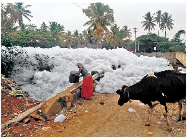 Lacul atât de poluat încât a luat foc. Imagini reale, dar greu de crezut, din India