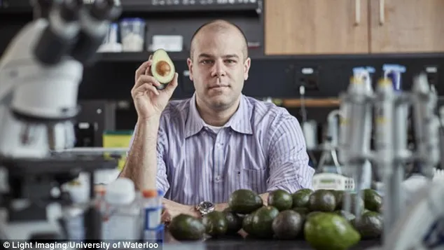 Avocado-ul luptă împotriva unei boli necruţătoare, care ucide 10.000 de persoane anual: leucemia