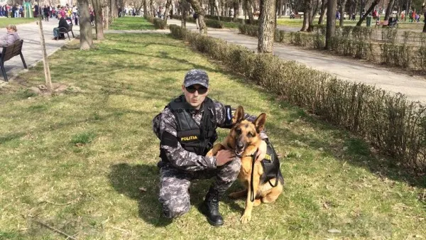 Fetiţă de doi ani dispărută de acasă, salvată de câinele poliţist Gom, în Bihor