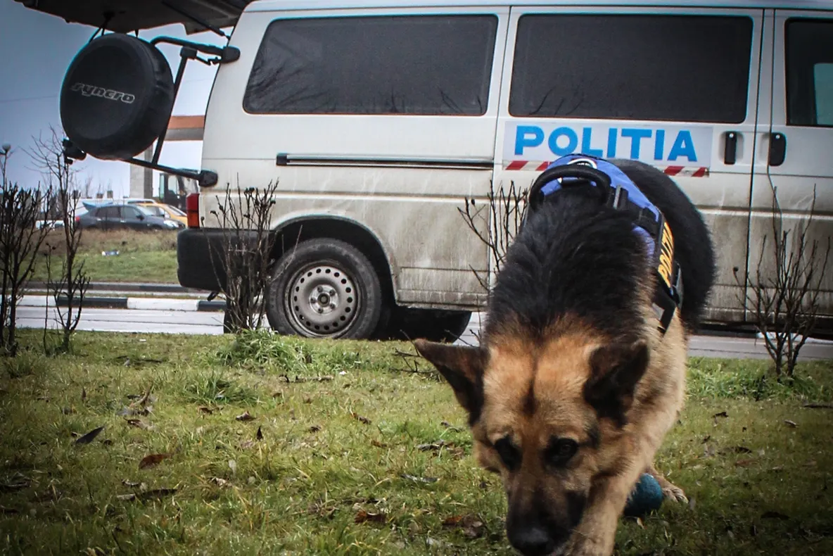 Unde a fost găsit un copil de doi ani şi opt luni din Buzău, care a fugit de acasă