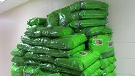 Au comandat droguri prin poştă din Etiopia şi Nigeria. Ce au primit constănţenii în colete