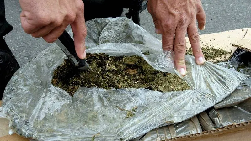 Peste 320 kg de droguri de mare risc, confiscate în primele 5 luni. Cărui risc e supusă România 