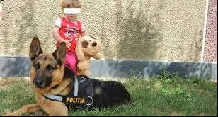 Briefing de presă cu Gom, câinele  salvator de la IJP Bihor