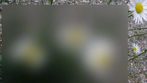 Mutanții de la Fukushima au bulversat întreaga lume. Imagini incredibile