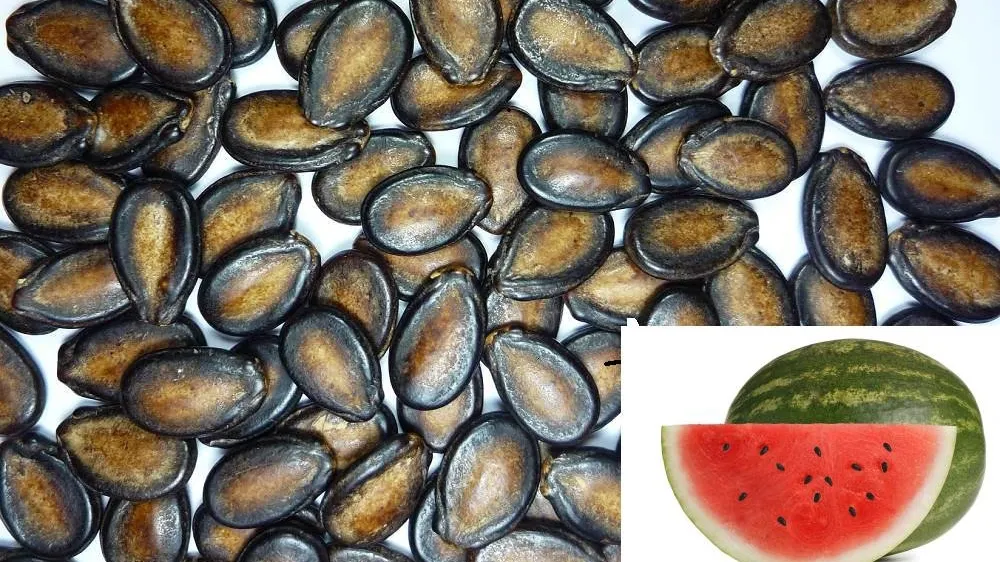Nu mai arunca seminţele de pepene roşu! Sunt bune de mâncat