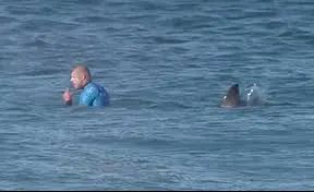 Imagini spectaculoase. Un surfer este atacat de doi rechini în timpul unei competiţii sportive
