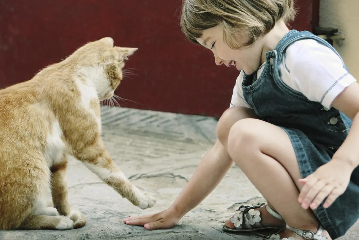 Animalele de companie şi copiii. Îi luam unul sau nu?